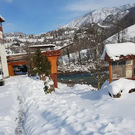 Apartamento Svetionik *