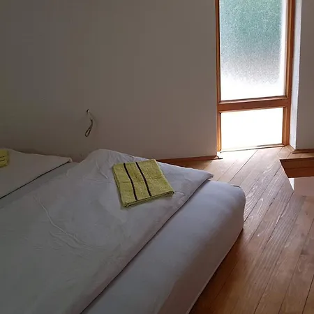 Apartment Svetionik